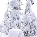 ���� �����, ���������, 60 ��� - ��������� 15 ������ 2025 � ������ ���� ����������