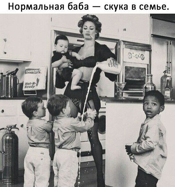   ! - 11  2024  11:49