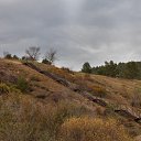 ���� �.�., ���� - ��������� 14 ������� 2025 � ������ �����������.�����.��������