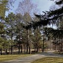 ���� ���������, ������, 45 ��� - ��������� 28 ������� 2025 � ������ ���� ����������