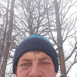 ����, 40 ���, ������