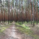 ���, �������� (26.06.2026) �� ������� ���������