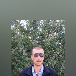 ���� �����, ������, 45 ��� - ��������� 27 ������� 2023