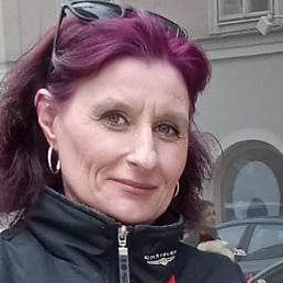 , , 44 