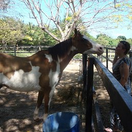 ����, �����-���������, 50 ���