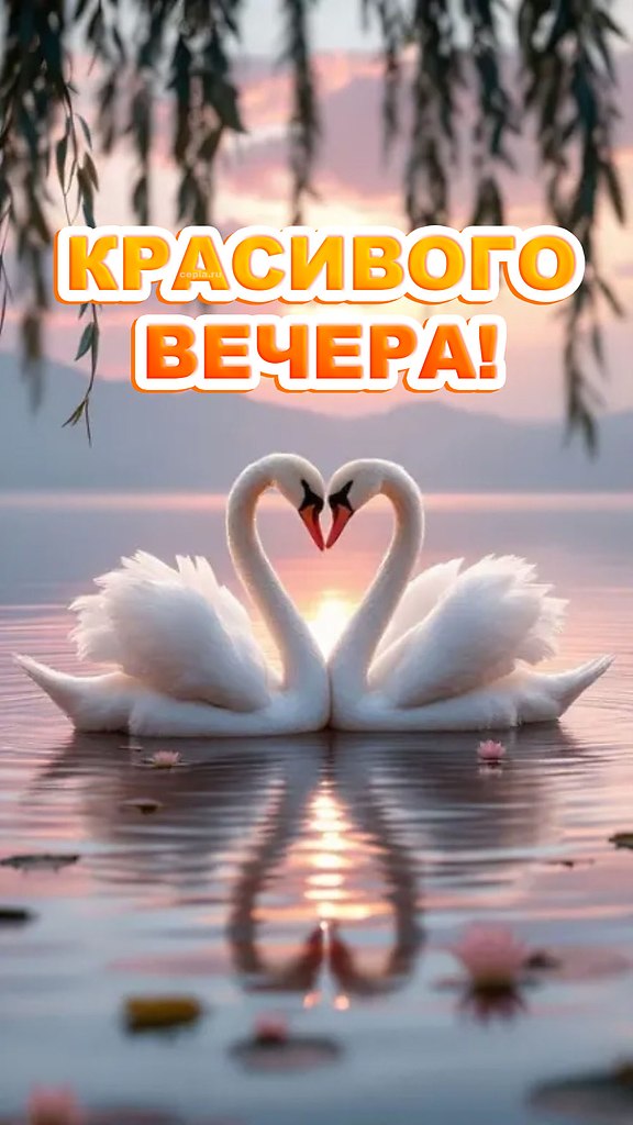 ��� ���� - 7 ������� 2025 � 18:09