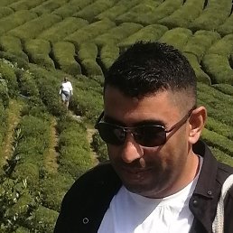 Timur, 34 ����, ����