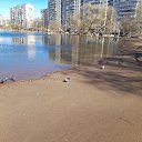 ���� �������, �����-���������, 63 ���� - ��������� 15 ������ 2025 � ������ ������ ��������