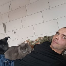 ���� ������, �������, 40 ��� - ��������� 17 ������ 2026