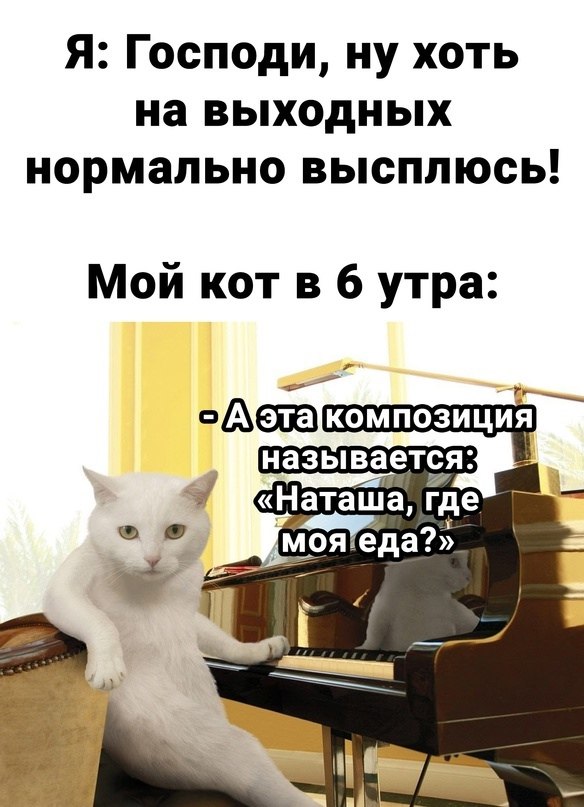   - 2  2024  19:20