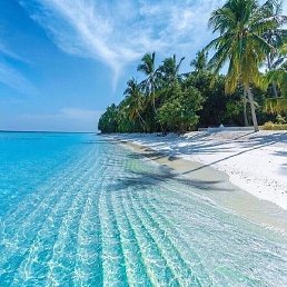 ������, ������