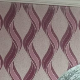 ����, �����������, 36 ���