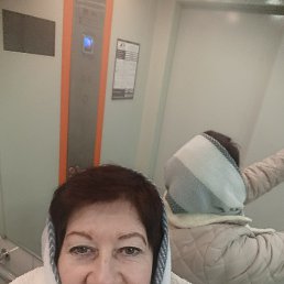 ���� ����, ����� - ��������� 17 ������� 2026