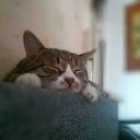 ���� ���������, ����, 51 ��� - ��������� 14 ������ 2025 � ������ ������ ��������