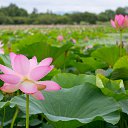 ���� ������, �������, 54 ���� - ��������� 18 ������ 2025 � ������ ���������