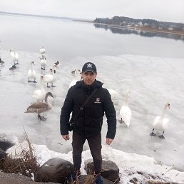 ������ �����, 31 ���, �����-���������