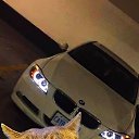 ���� ����, ���������, 26 ��� - ��������� 25 ������� 2025