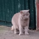 ���� Vladimir, ������, 48 ��� - ��������� 23 ������ 2023