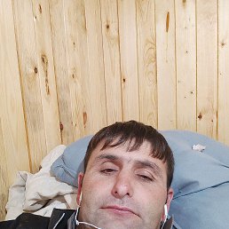 ���� ����, ������, 41 ��� - ��������� 31 ������� 2023