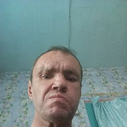 ���� �������, �����������, 48 ��� - ��������� 3 ���� 2024