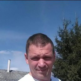 , 54, 