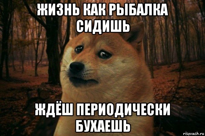 ���� ������� - 21 ����� 2025 � 09:12