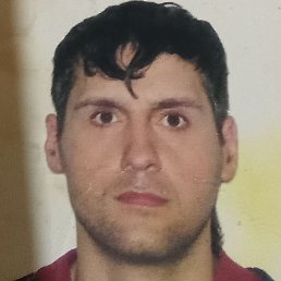 �����, ������� ��������, 41 ���