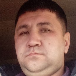 Krasavchik, , 35 