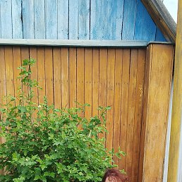 ���� �����, ����� ������, 40 ��� - ��������� 31 ������� 2024