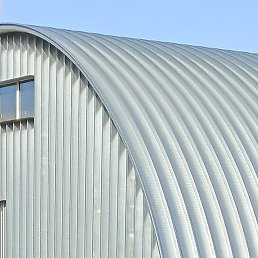 ���������, ���������, 41 ���