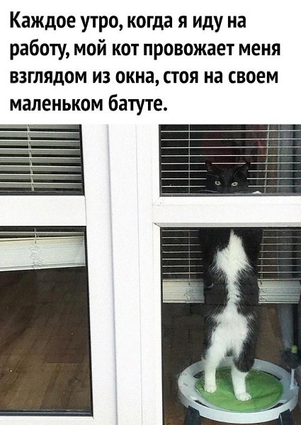 ���������, ����� ������������ ����
