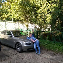 �����, ������, 52 ����