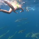 ���� ����������, ������, 38 ��� - ��������� 6 ������� 2026