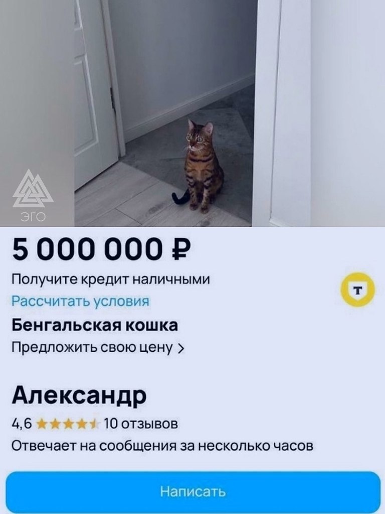      5 000 000 .   ,      