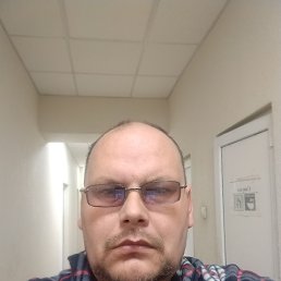 , 41, 