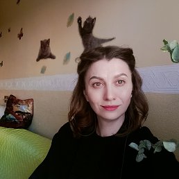 , 41 , -