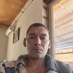����, 46 ���, ���������