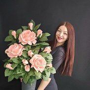 �����, , �����