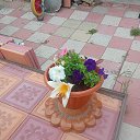 ���� ����, ��������, 65 ��� - ��������� 26 ���� 2025 � ������ �7�