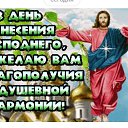 ���� ��������, ������, 42 ���� - ��������� 26 ��� 2026 � ������ ������ ��������