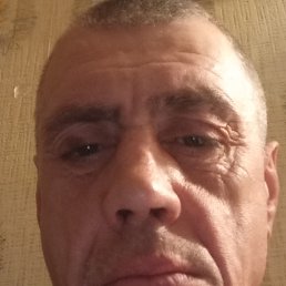 �����, 49 ���, ������