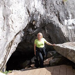 �����, ����, 65 ���