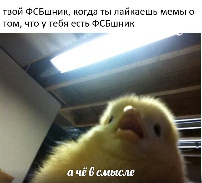    - 9  2024  14:39