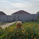 ���� ��������, �������, 62 ���� - ��������� 18 ���� 2024