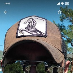 , 53, -