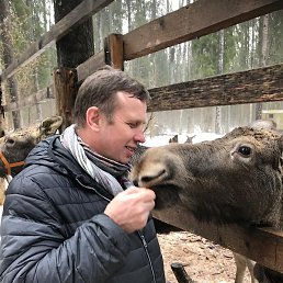 ���������, ������, 52 ����