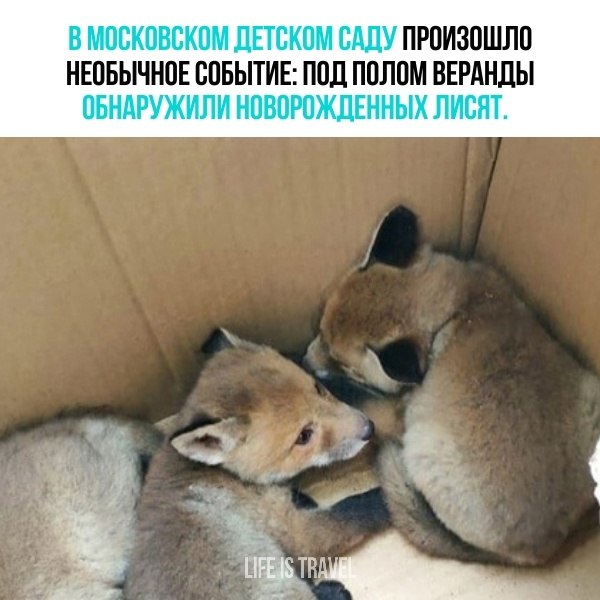 ������������ ����������� ������.� ����� ������ ������� ������������ ��������� �������, ��������� ...