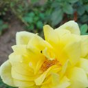 ���� ������, ��������������, 57 ��� - ��������� 13 �������� 2024 � ������ ���� ����������