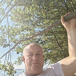 , 51 , -