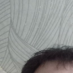 ������, ��������, 38 ���